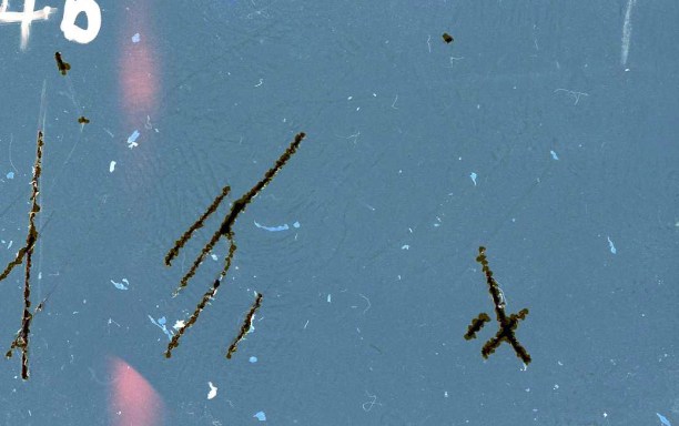 Foto_2016_12 vorschau behand014 Kopie